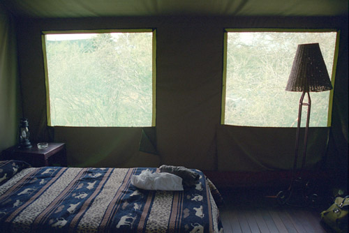 Inside safari tent